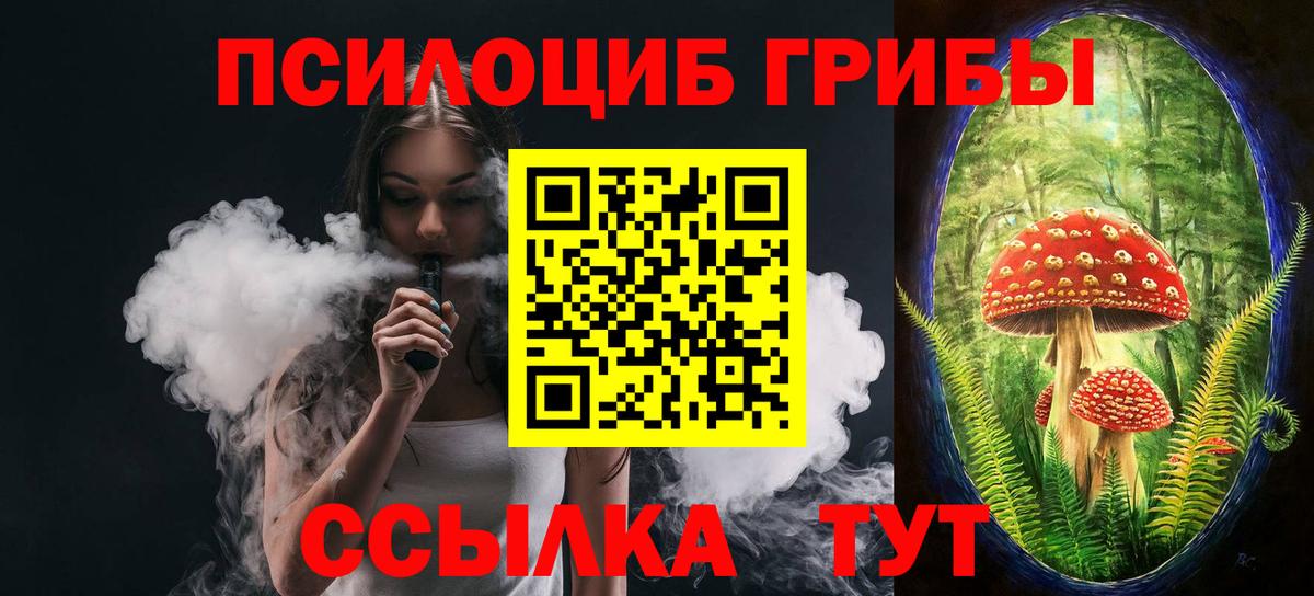 Псилоцибиновые грибы Psilocybine cubensis Белово
