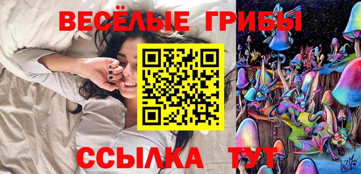 Белово  Псилоцибиновые грибы Psilocybine cubensis  Вход с VPN 